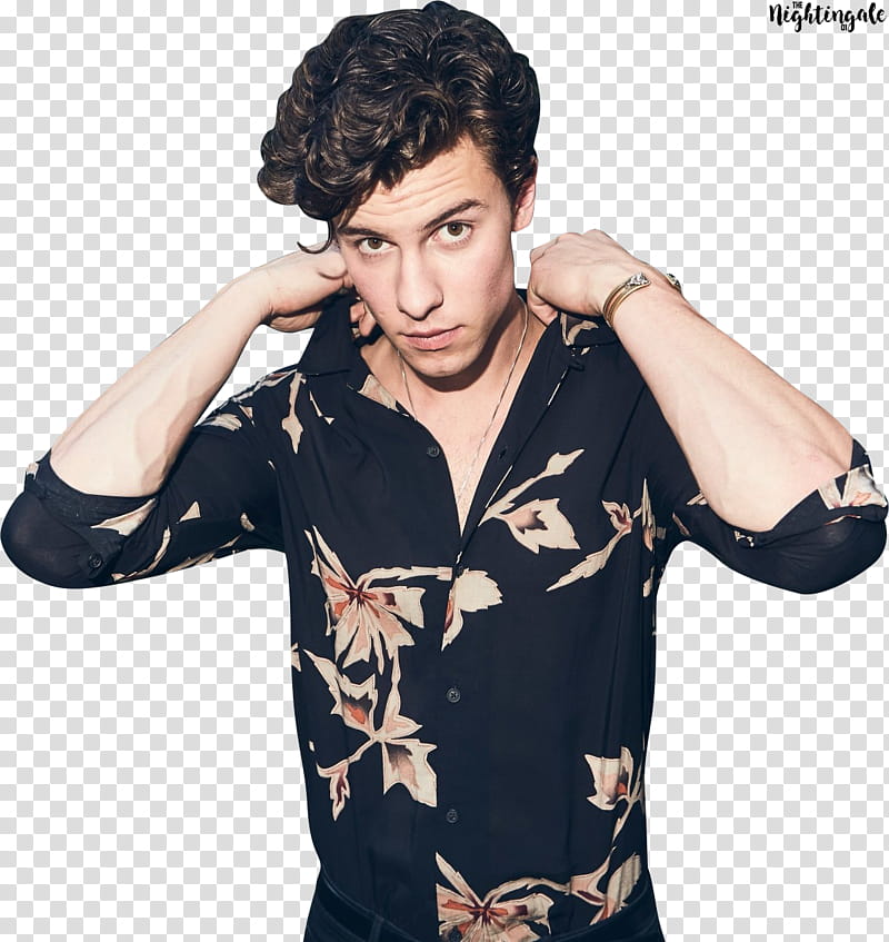 Shawn Mendes ,,SAM () transparent background PNG clipart