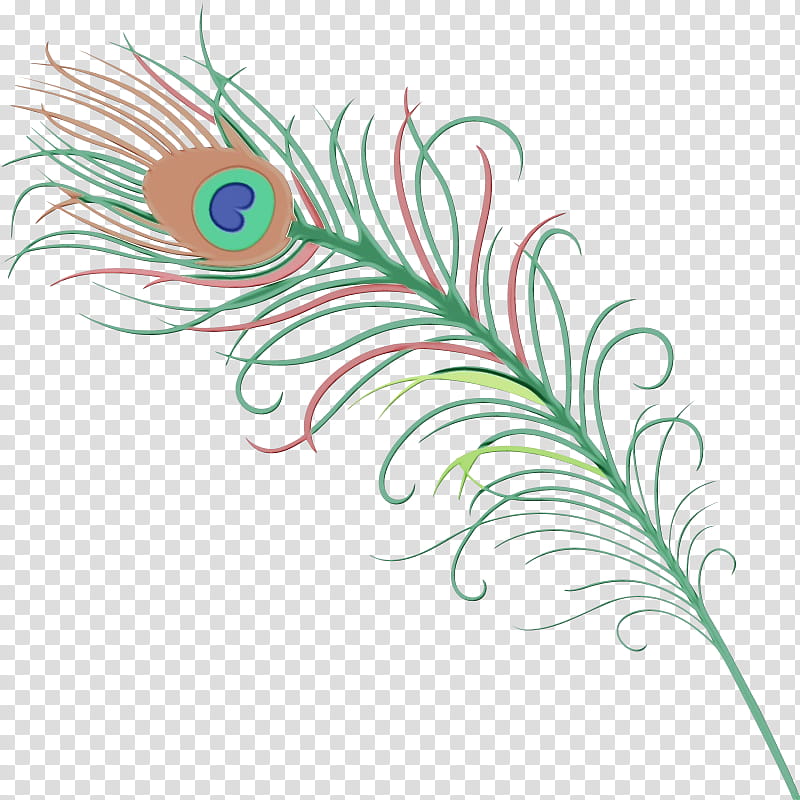 Peacock Drawing, Peafowl, Feather, Bird, Tshirt, Deleted, Plant, Natural Material transparent background PNG clipart