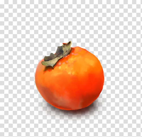 Jiro Persimmon  transparent background PNG clipart