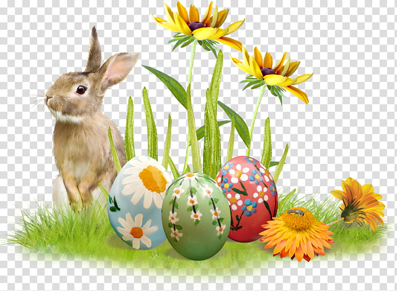 Easter Egg, Egg Hunt, Easter Bunny, Easter
, Rabbit, Easter Egg Tree, Sticker, Spring transparent background PNG clipart