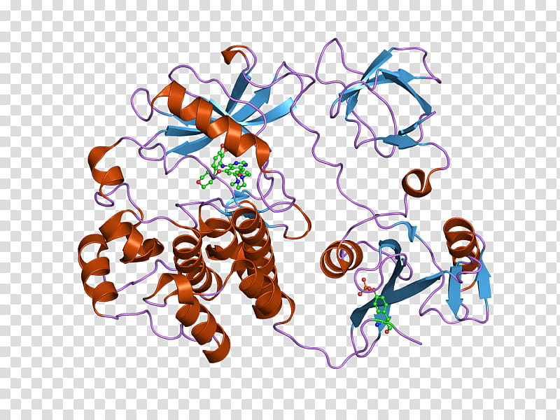 Protooncogene Tyrosineprotein Kinase Src Line, Tyrosine Kinase, Vsrc, Nonreceptor Tyrosine Kinase, Sh2 Domain, Mutation, Insect, Pollinator transparent background PNG clipart