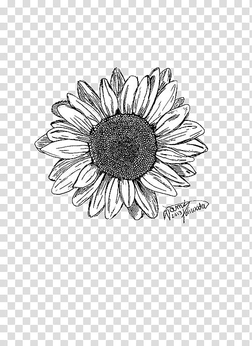 Yellow Sunflower painting, Work of art Drawing Common sunflower Printmaking  Painting, Painting, poster, sunflower png | PNGEgg