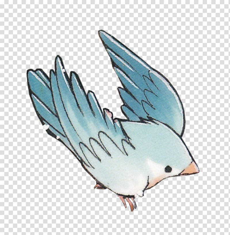Blue Bird xp, blue and white bird transparent background PNG clipart