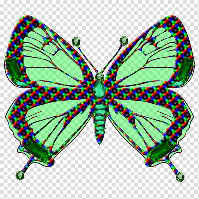 Butterfly Net transparent background PNG cliparts free download