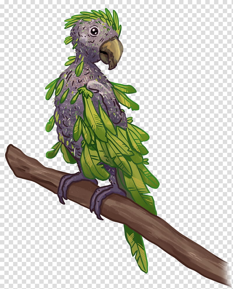 Bird Parrot, Budgerigar, Psittacine Beak And Feather Disease, Macaw, Parakeet, Virus, Pet, Fledge transparent background PNG clipart
