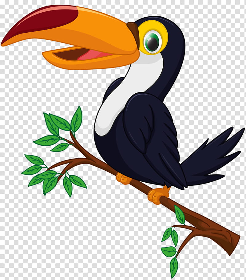 Hornbill Bird, Toucan, Cartoon, Beak, Wing, Coraciiformes, Piciformes, Branch transparent background PNG clipart