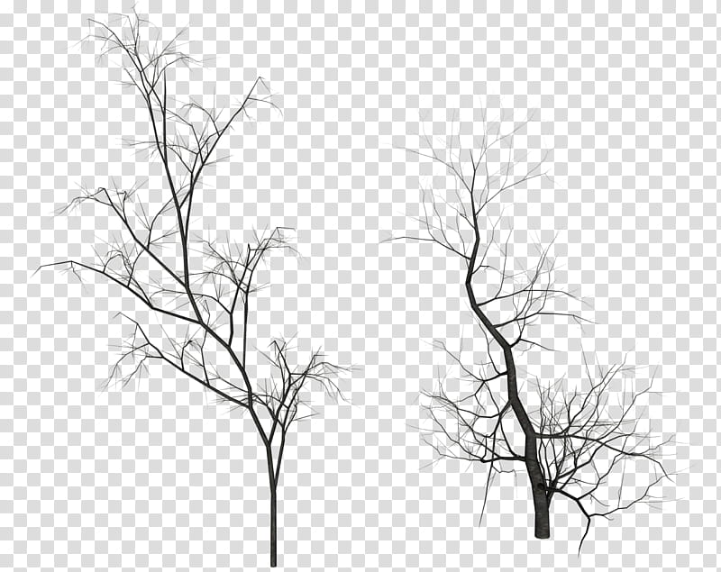 Dead Trees, two bare trees illustrations transparent background PNG clipart