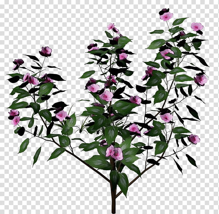 flower flowering plant plant pink bougainvillea, Watercolor, Paint, Wet Ink, Branch, Tree, Buddleia, Cut Flowers transparent background PNG clipart