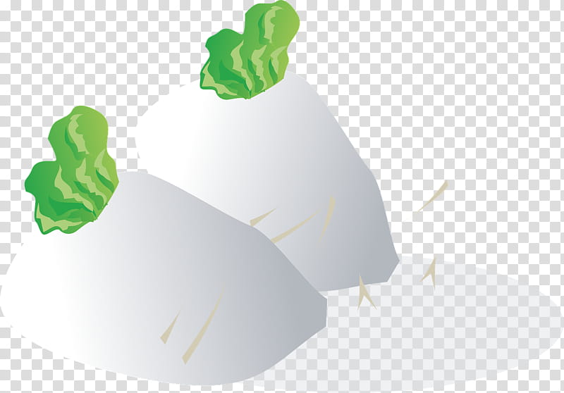 Plant Leaf, Daikon, Rutabaga, Turnip, Vegetable, Food, Greens, Eating transparent background PNG clipart