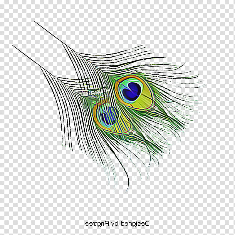 Feather, Beak, Eye, Closeup, Line, Natural Material, Animal Product, Eyelash transparent background PNG clipart