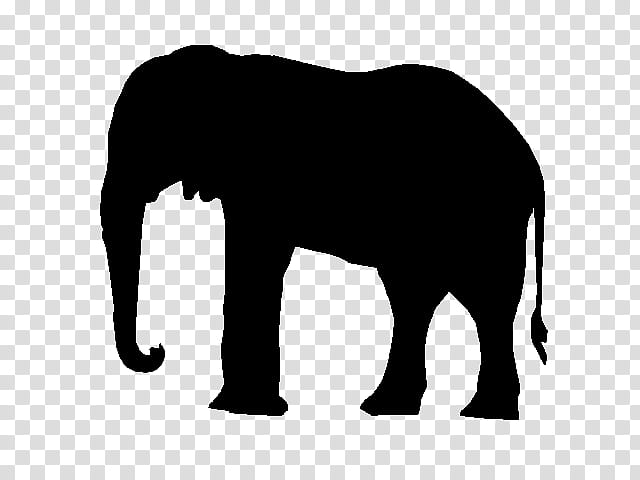 Indian Elephant, African Elephant, Black White M, Silhouette, Snout, Black M, Wildlife, Animal Figure transparent background PNG clipart