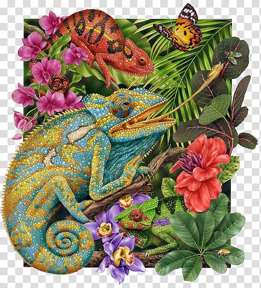 Cartoon Nature, Chameleons, Drawing, Lizard, Animal, Printmaking, Flower, Plant transparent background PNG clipart
