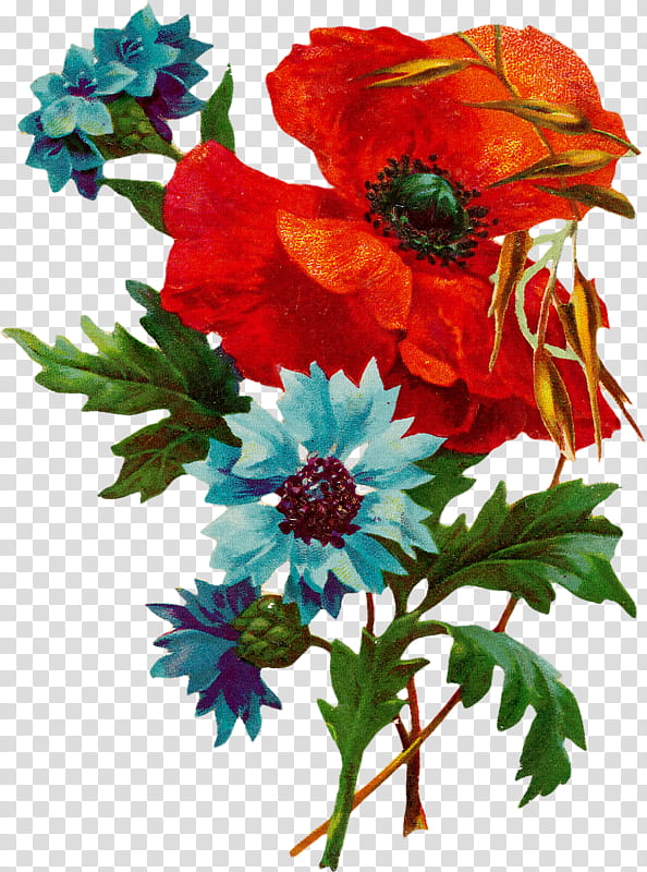 Flower Art Watercolor, Watercolor Painting, Cornflower, Poppy, Plant, Cut Flowers, Petal, Anemone transparent background PNG clipart