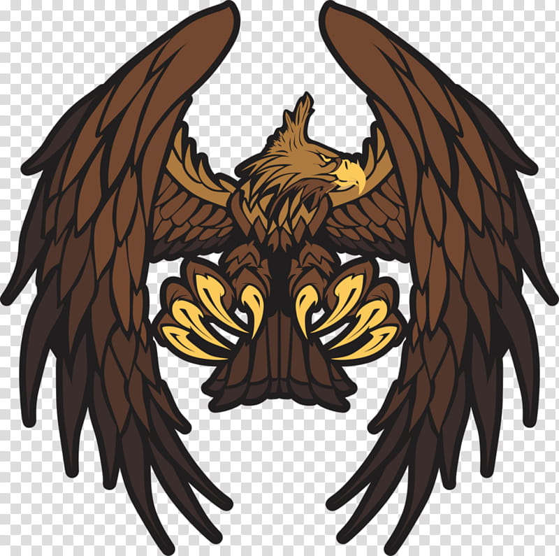 Eagle Logo, Bald Eagle, Hawk, Poster, Falcon, Bird Of Prey, Cartoon, Wing transparent background PNG clipart