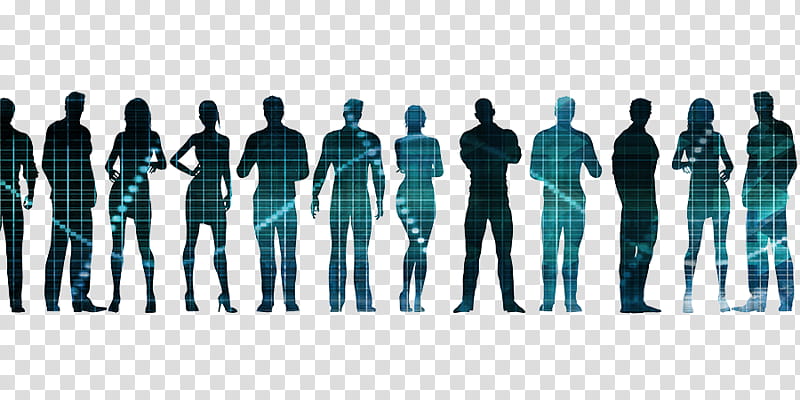 Workforce Standing, Employment, Job, Organization, Human Resource, Team, Mannequin, Joint transparent background PNG clipart