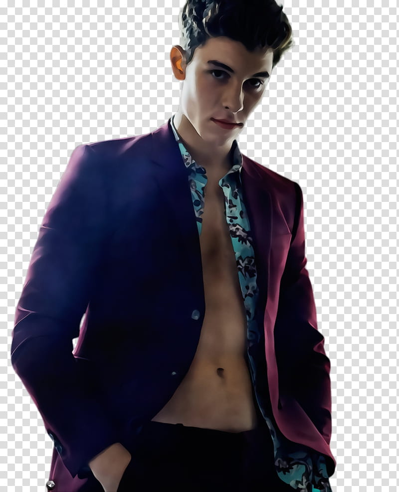 Hair, Watercolor, Paint, Wet Ink, Shawn Mendes, Understand, Mendes Army, Chasing Cameron transparent background PNG clipart