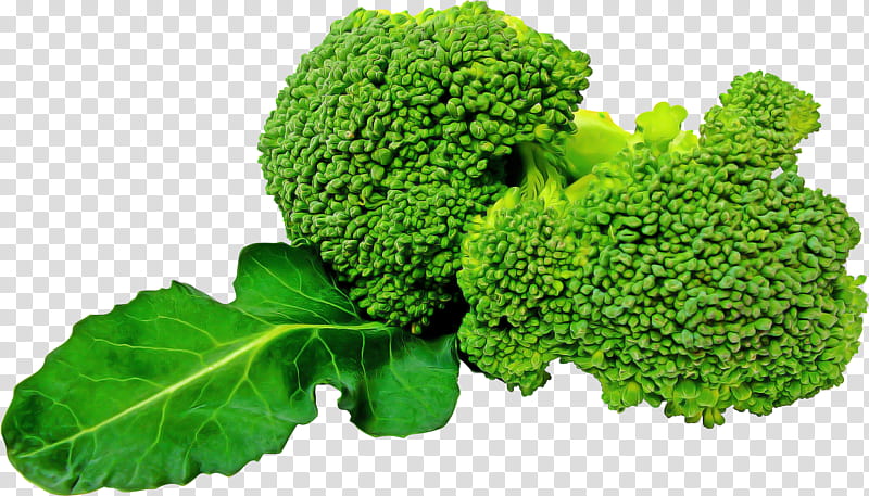 broccoli cruciferous vegetables leaf vegetable plant vegetable, Grass, Flower, Wild Cabbage, Food transparent background PNG clipart