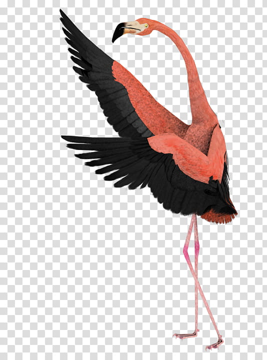 Flamingo Watercolor, Drawing, Greater Flamingo, Dance, Watercolor Painting, Coloring Book, Stork, Surrealism transparent background PNG clipart