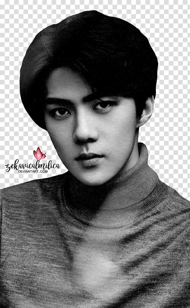 EXO Sehun  Season Greetings, man wearing gray turtleneck top transparent background PNG clipart