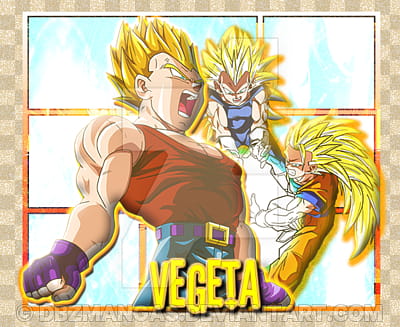 Vegeta+SSJ Goku Y Vegeta transparent background PNG clipart