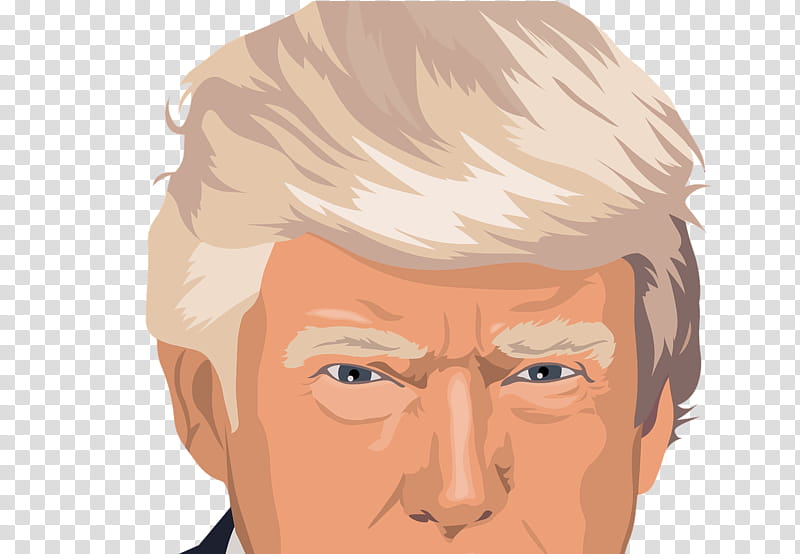 Donald Trump Drawing, Presidency Of Donald Trump, Protests Against Donald Trump, President Of The United States, Politics, Hillary Clinton, Donald Trump Jr, Face transparent background PNG clipart