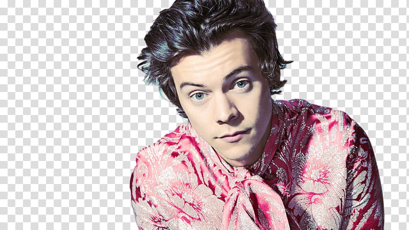 Harry Styles DulceEditions transparent background PNG clipart