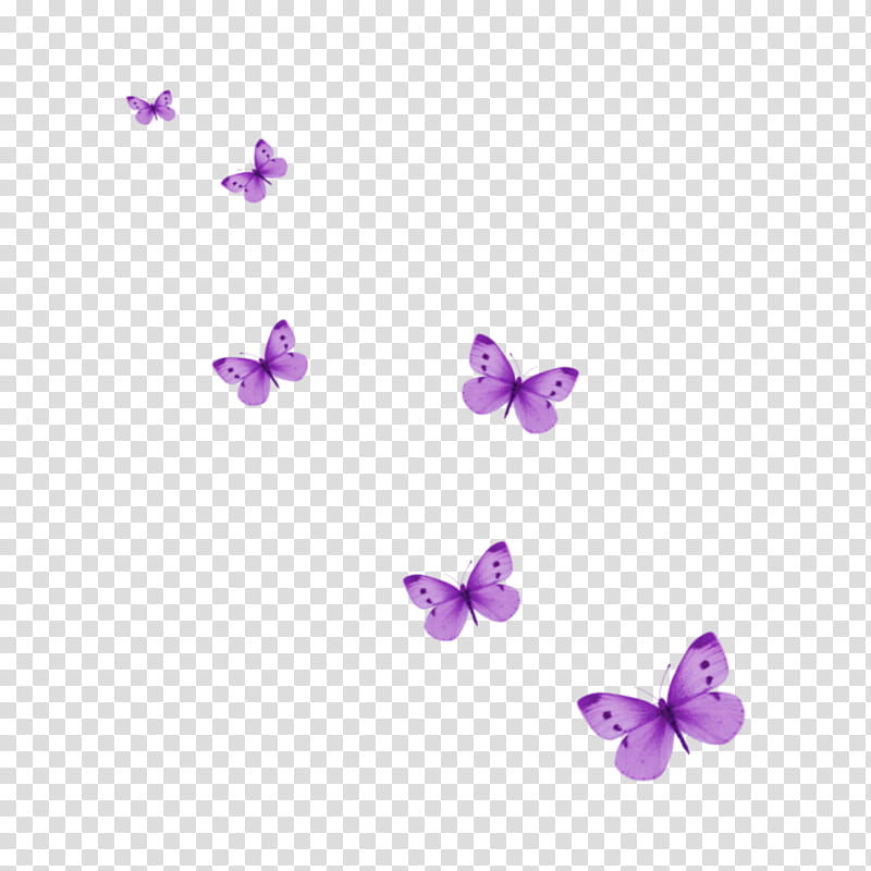 Monarch Butterfly Drawing, Glasswing Butterfly, Insect, Lepidoptera, Violet, Purple, Lilac, Lavender transparent background PNG clipart