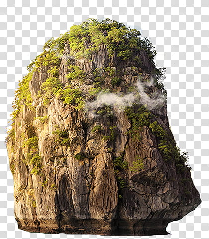 , forest covered rock formation transparent background PNG clipart
