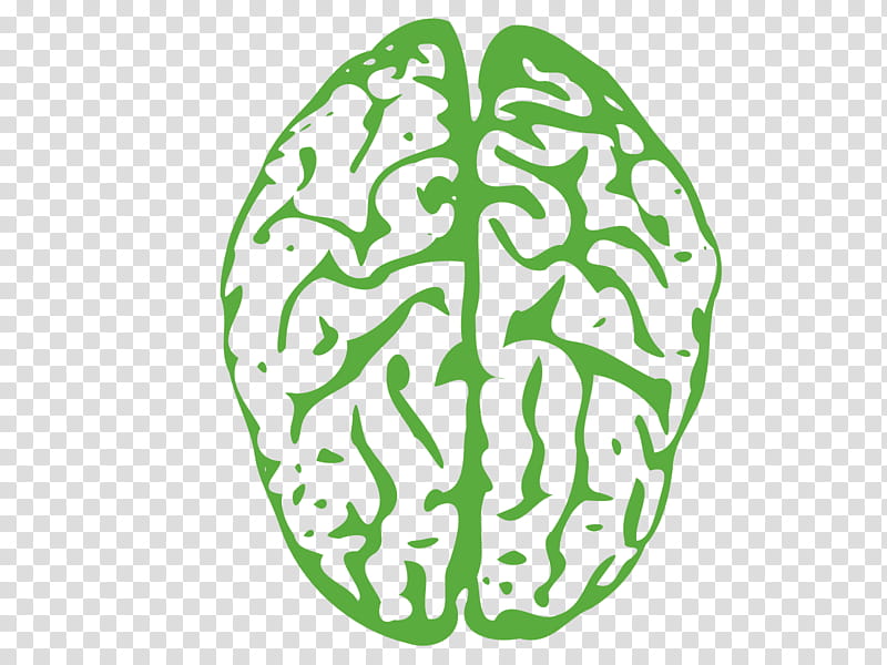 Brain, Human Brain, Blue Brain Project, Drawing, Brain Size, Leaf transparent background PNG clipart