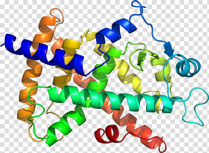 Acid Text, Nucleic Acid, Protein Structure, Amino Acid, Peptide, Molecular Biology, Molecule ...