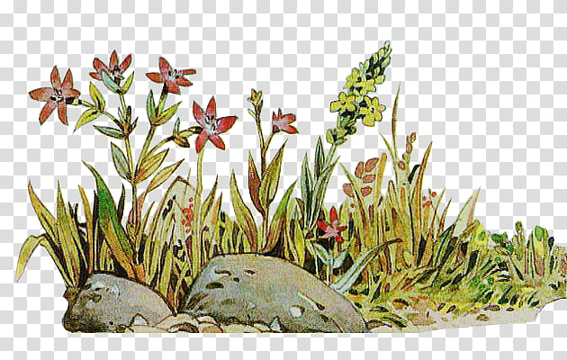 Fairy tale P, floral artwork transparent background PNG clipart