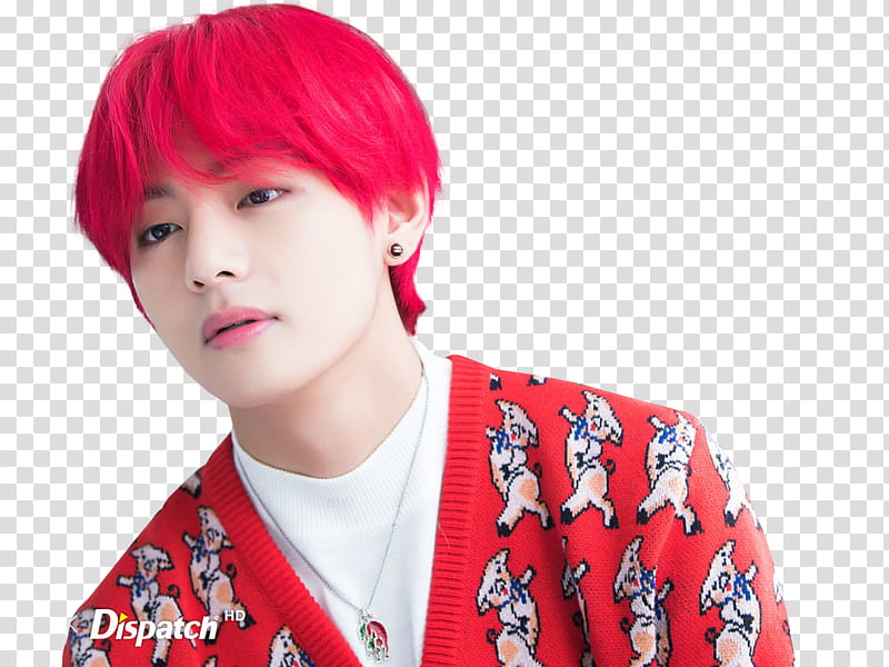 BTS XMAS DISPATCH  transparent background PNG clipart