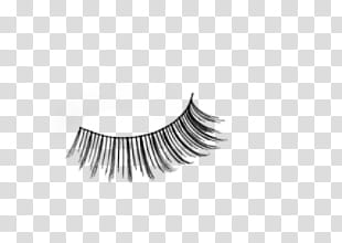 Eyelash , false eyelashes transparent background PNG clipart