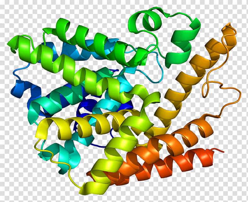 Pde7a Line, Phosphodiesterase, Cyclic Guanosine Monophosphate, Cyclic Nucleotide Phosphodiesterase, Pde5 Inhibitor, Phosphodiesterase Inhibitor, Cyclic Adenosine Monophosphate, Cgmpspecific Phosphodiesterase Type 5, Enzyme transparent background PNG clipart