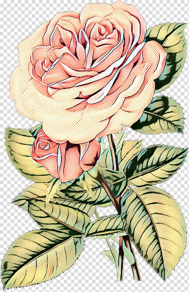 pop art retro vintage, Garden Roses, Cabbage Rose, Floral Design, Cut Flowers, Drawing, Petal, Plant Stem transparent background PNG clipart