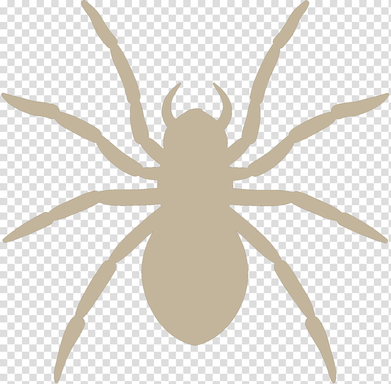 Spiders, Wolf Spider, Silhouette, Brown Recluse Spider, Spider Bite, Sticker, Giant Huntsman Spider, Nursery Web Spiders transparent background PNG clipart