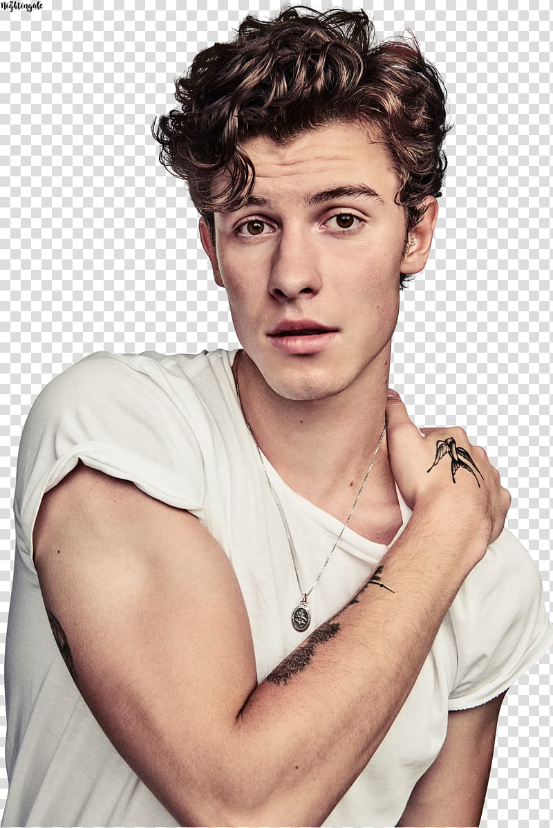 Shawn Mendes transparent background PNG clipart