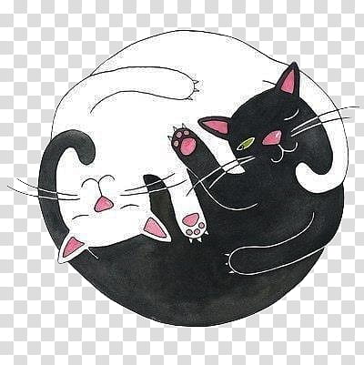 Nuevos Sorpresita  , white and black cats illustration transparent background PNG clipart