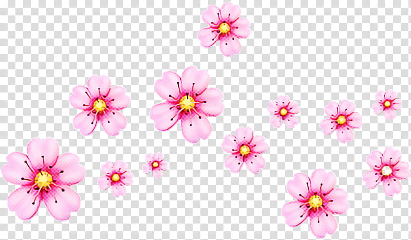 Cherry Blossom, Emoji, Sticker, PicsArt Studio, , Desktop , Editing, Flower transparent background PNG clipart