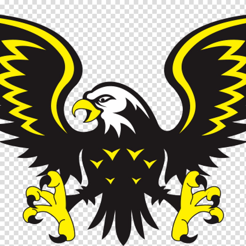 Eagle Logo, Hawk, Bird, Drawing, Bird Of Prey, Yellow, Beak, Symbol transparent background PNG clipart