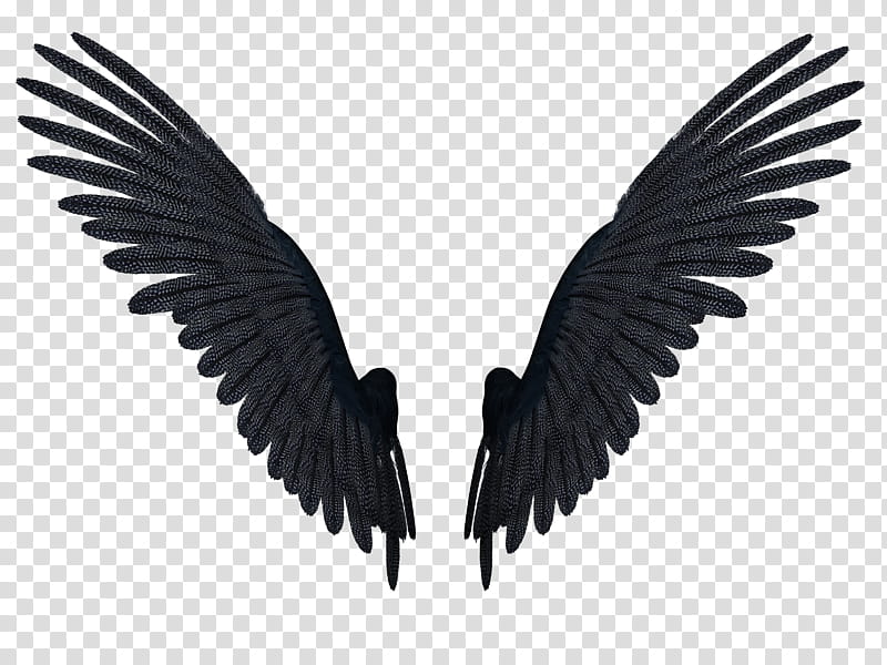 Feathered Wings A , pair of black wings illustration transparent background PNG clipart