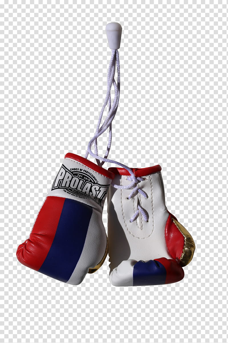 Boxing Glove, Punching Training Bags, Boxing Federation Of Russia, Sting Sports, Boxing Rings, Personal Protective Equipment, Boxing Equipment, Footwear transparent background PNG clipart