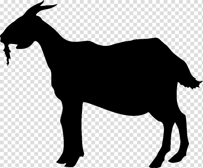 Geometric Shape, Tennessee Walking Horse, Animal, Pet, Black, Silhouette, Goats, Chamois transparent background PNG clipart
