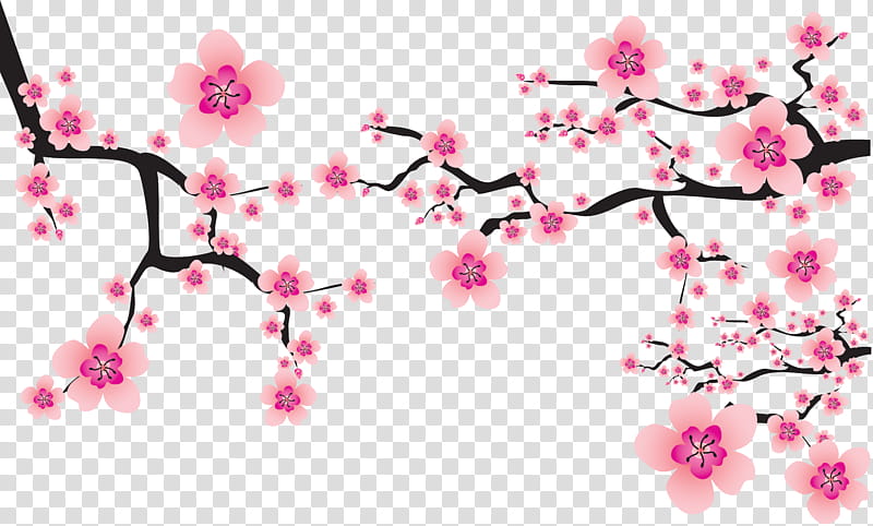 Cherry Blossom Tree, Cherries, Flower, Plum, Plum Blossom, Spring
, Pink, Branch transparent background PNG clipart