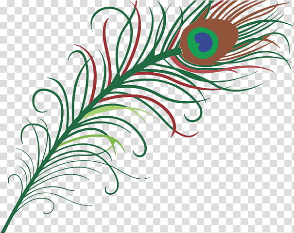 peacock feather clipart