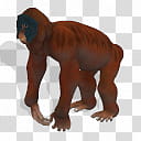 Spore creature Gigantopithecus male, brown monkey illustration transparent background PNG clipart