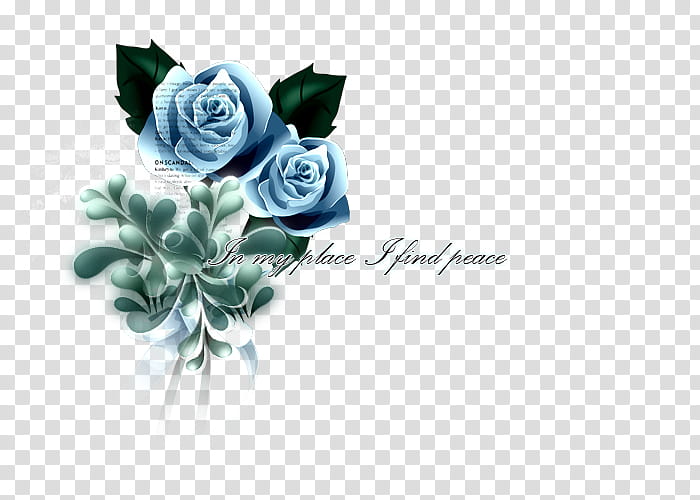 mixed, blue flowers with text overlay transparent background PNG clipart