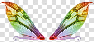 Wings transparent background PNG clipart thumbnail