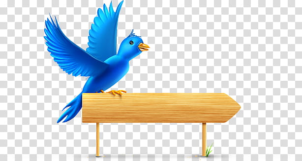 Twitter , blue bird standing on brown wooden road arrow sign illustration transparent background PNG clipart