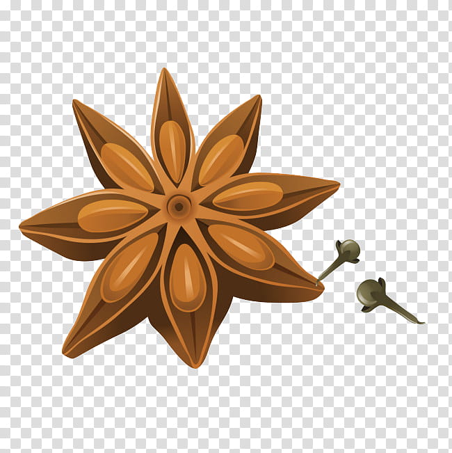 Star, Star Anise, Spice, Cinnamon, Nutmeg, True Cinnamon Tree, Herb, Thyme transparent background PNG clipart